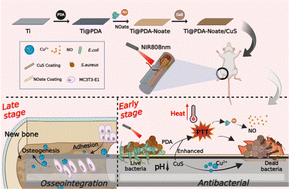 Graphical abstract: Fabricating a PDA-NOate@CuS coated NIR-activatable titanium implant to realize simultaneous antiinfection and osseointegration