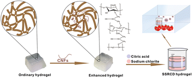 Graphical abstract: A solid slow-release chlorine dioxide system using a modified starch-based nanofiber hydrogel for fruit preservation