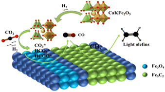 Graphical abstract: Potassium-modified calcium-ferrate-catalyzed hydrogenation of carbon dioxide to produce light olefins