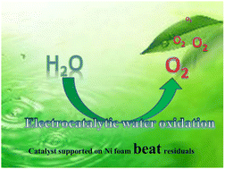 Graphical abstract: Self-supporting catalysts beat powder electrodes for the electrocatalytic oxygen evolution reaction: a cobalt-based catalyst as an example