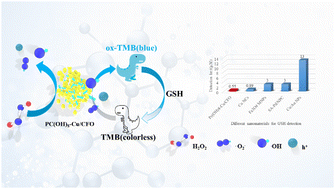 Graphical abstract: 2(3),9(10),16(17),23(24)-Octamethoxyphthalocyanine-Cu/CuFe2O4 nanocomposites with enhanced peroxidase-like activity for the sensitive colorimetric determination of glutathione