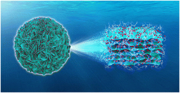 Graphical abstract: Facile construction of flower-like MoO2/MoS2 heterostructures encapsulated in nitrogen-doped carbon for high-performance sodium-ion storage