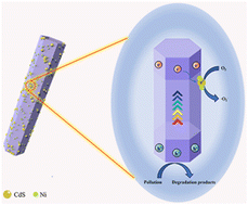 Graphical abstract: Degradation of tetracycline hydrochloride by semi-embedded CdS/tubular g-C3N4 heterojunction photocatalysts loaded with Ni nanoparticles