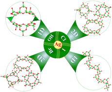 Graphical abstract: Exploration of silver borates with diverse low-dimensional anion frameworks by introducing monovalent heteroanions