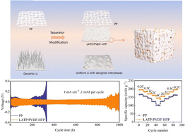 Graphical abstract: Gel electrolyte modification enables planar Li deposition and fast kinetics toward high energy Li metal batteries