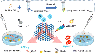 Graphical abstract: The photosensitizer system based on cationic COF carrier with the loading tetraminoporphyrin and its combined antibacterial effect