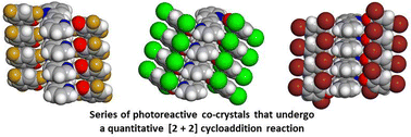 Graphical abstract: Expanding the versatility of trihalophenols as molecular templates to achieve a series of [2+2] cycloaddition reaction involving 1,2-bis(2-pyridyl)ethylene