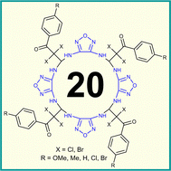 Graphical abstract: Unexpected 20-membered macrocycles obtained by the condensation of α,α-dihalo-β-oxoaldehydes with diaminofurazan