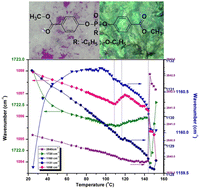 Graphical abstract: Differential insights into structural dynamics and photophysical behavior of two phosphorus-containing diesters