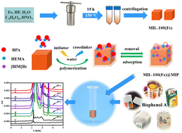 Graphical abstract: Highly effective and fast removal of bisphenol A from environmental samples using an eco-friendly surface molecularly imprinted polymer based on MIL-100(Fe)