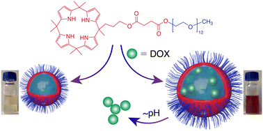 Graphical abstract: Drug encapsulation and release with a nonionic amphiphilic calix[4]pyrrole