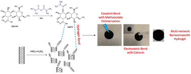 Graphical abstract: Preparation and characterization of conductive and multi-network nanocomposite hydrogels as potential scaffolds for electroactive tissues