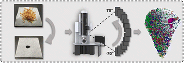 Graphical abstract: Three-dimensional quantitative analysis of porosity evolution and inheritance from biomass to biochar through pyrolysis