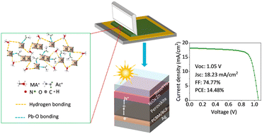 Graphical abstract: A green ionic liquid solvent for additive-free, efficient and stable bladed perovskite solar cells under ambient conditions