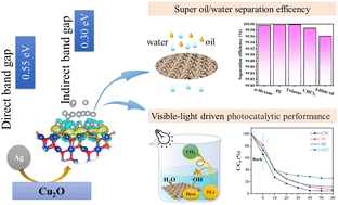Graphical abstract: Superwetting Ag@Cu2O anchored copper mesh for efficient oil/water separation and visible-light driven removal of organic pollutants