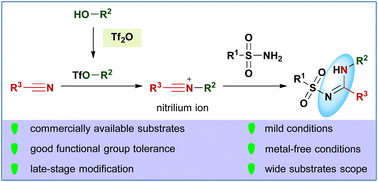 Graphical abstract: Vicinal difunctionalization of nitriles: modular construction of N-alkyl amidines and late-stage modification