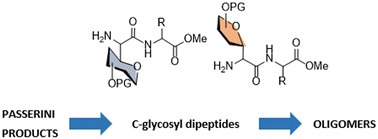Graphical abstract: The synthesis of oligomers containing alternating C-glycosyl α-amino acids and proteinogenic α-amino acids