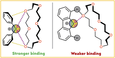 Graphical abstract: Halogen bonded associates of iodonium salts with 18-crown-6: does structural flexibility or structural rigidity of the σ-hole donor provide efficient substrate ligation?