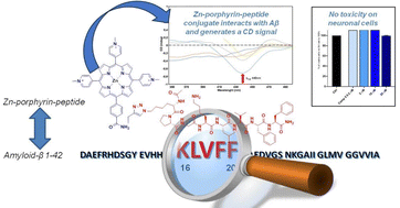 Graphical abstract: A zinc–porphyrin–peptide conjugate via “click-chemistry”: synthesis and amyloid-β interaction