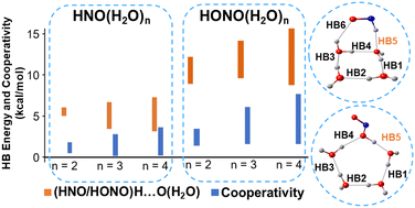 Graphical abstract: Hydrogen bond strengths in microhydrated clusters of HNO and HONO: energetic insights via a molecular tailoring approach