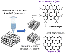 Graphical abstract: Characterization of robocasted graphene and graphene oxide reinforced scaffold structures for bone regeneration