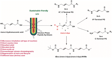 Graphical abstract: Microwave-assisted synthesis of peptidomimetic trans-delta-aminopent-3-enoic acid and its derivatives