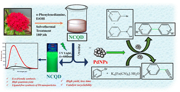 Graphical abstract: Ixora coccinea flower-derived green luminescent carbon quantum dots for Fe3+ recognition and preparation of Pd nanoparticles for the Suzuki–Miyaura coupling and cyanation process