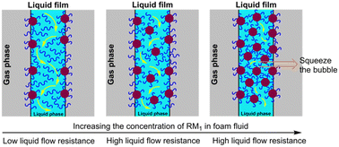 Graphical abstract: The underlying molecular mechanism of topical fluid foam with microsphere assistance