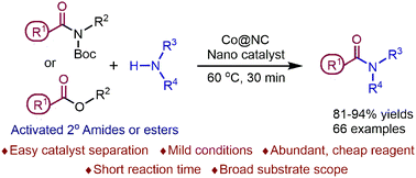 Graphical abstract: Transamidation of secondary carboxamides and amidation of esters are facilitated by magnetic Co@NC nanoparticles, as a highly efficient and recyclable catalyst under neat conditions