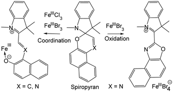 Graphical abstract: Coordination vs. oxidative rearrangement of photochromic spiropyrans upon reacting with FeIIICl3 and FeIIIBr3
