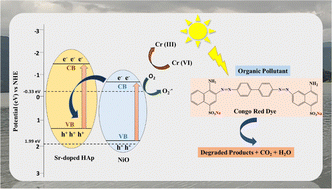 Graphical abstract: Development of a hydroxyapatite-based composite: Sr-doped HAp/NiO proven to be an efficient nanocatalyst for photocatalytic degradation of organic dye and photoreduction of Cr(vi)