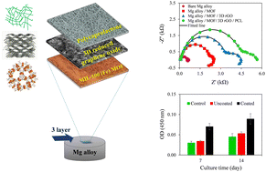 Graphical abstract: In vitro corrosion behavior and biocompatibility of biodegradable Mg–Mn–Zn alloy modified with a MOF/3D rGO/PCL three-layer coating