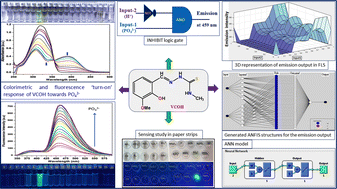 Graphical abstract: An O-vanillin scaffold as a selective chemosensor of PO43− and the application of neural network based soft computing to predict machine learning outcomes