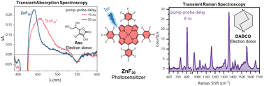 Graphical abstract: Tracking photoinduced charge separation in a perfluorinated Zn-tetraphenylporphyrin sensitizer