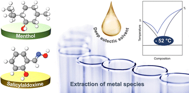 Graphical abstract: New low transition temperature mixture menthol:salicylaldoxime – a designer solvent for extraction of metal species
