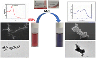 Graphical abstract: Glucosamine functionalized gold nanoparticles for the specific detection and colorimetric assay of glutathione in real samples