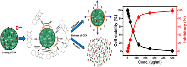 Graphical abstract: Potentiality of chitosan hybridized magnesium doped-hydroxyapatite (CH/Mg·HAP) for enhanced carrying of oxaliplatin: loading, release, kinetics, and cytotoxicity
