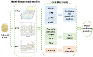 Graphical abstract: Evaluation of quality consistency of Astragali radix by multi-dimensional profiles combined with chemometric analysis