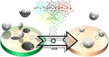 Graphical abstract: Preparation of superhydrophobic/superhydrophilic sodium alginate aerogels for efficient oil absorption