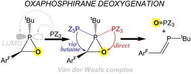 Graphical abstract: Computational studies of ring cleavage and deoxygenation reactions of a σ3λ3-oxaphosphirane