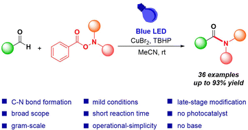 Graphical abstract: Copper-catalyzed photoredox reaction of aldehydes with O-benzoyl hydroxylamines for the formation of amides