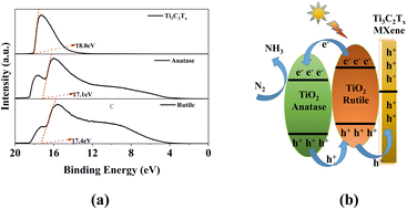 Graphical abstract: Regulation of a rutile/anatase TiO2 heterophase junction in situ grown on Ti3C2Tx MXenes with remarkable photocatalytic properties