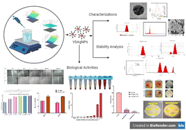 Graphical abstract: Application of response surface methodology towards the development of a phenylethanoid-based silver nanoparticle with multifaceted biological properties