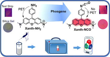 Graphical abstract: Xanthene-based fluorescence turn-on detection of phosgene via analyte-triggered isocyanate formation
