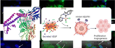 Graphical abstract: Structure-based design to explore the anticancer efficacy of organometallic Pt(ii)- and Au(iii)-N-heterocyclic carbene (NHC) complexes