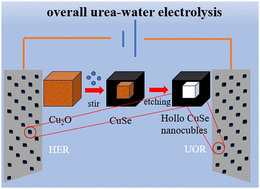 Graphical abstract: Hollow CuSe nanocubes as a bifunctional electrocatalyst for energy-saving overall urea–water electrolysis