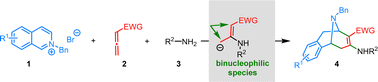 Graphical abstract: Diastereoselective dearomative bifunctionalization of isoquinolinium salts to access bridged tetrahydroisoquinolines