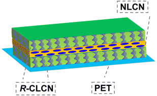 Graphical abstract: Handedness inversion of the Bragg reflection light of cholesteric liquid crystal polymer network films using a half-wave plate