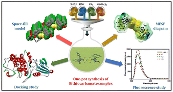 Graphical abstract: Chiral metal–dithiocarbamate complexes with pendant phenolic groups: synthesis, crystallographic, photophysical and in silico study