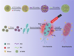 Graphical abstract: HAase/GSH dual-responsive mesoporous organosilica nanoparticles for synergistic photodynamic/photothermal/pharmacological antibacterial therapy